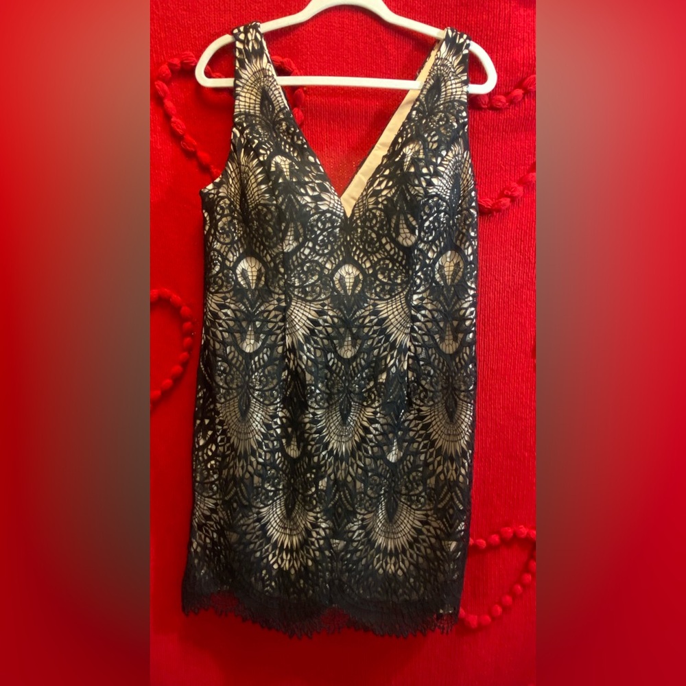 Chic Black Lace V-Neck Dress